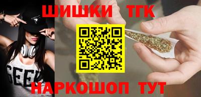 индика Ирбит