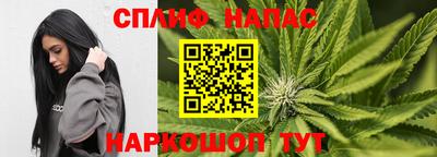 индика Ирбит